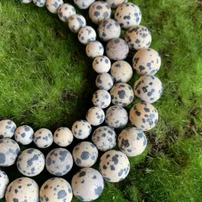 Matte Dalmation Jasper Strands