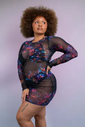 Starflora Mesh Long Sleeve Dress