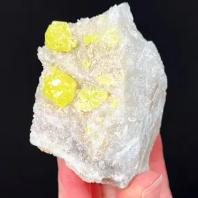 Sulfur Crystals